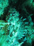 2009-09-11 12-38-24S